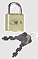 Member Login